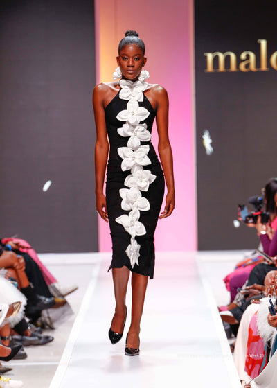 LaRose Monochrome dress