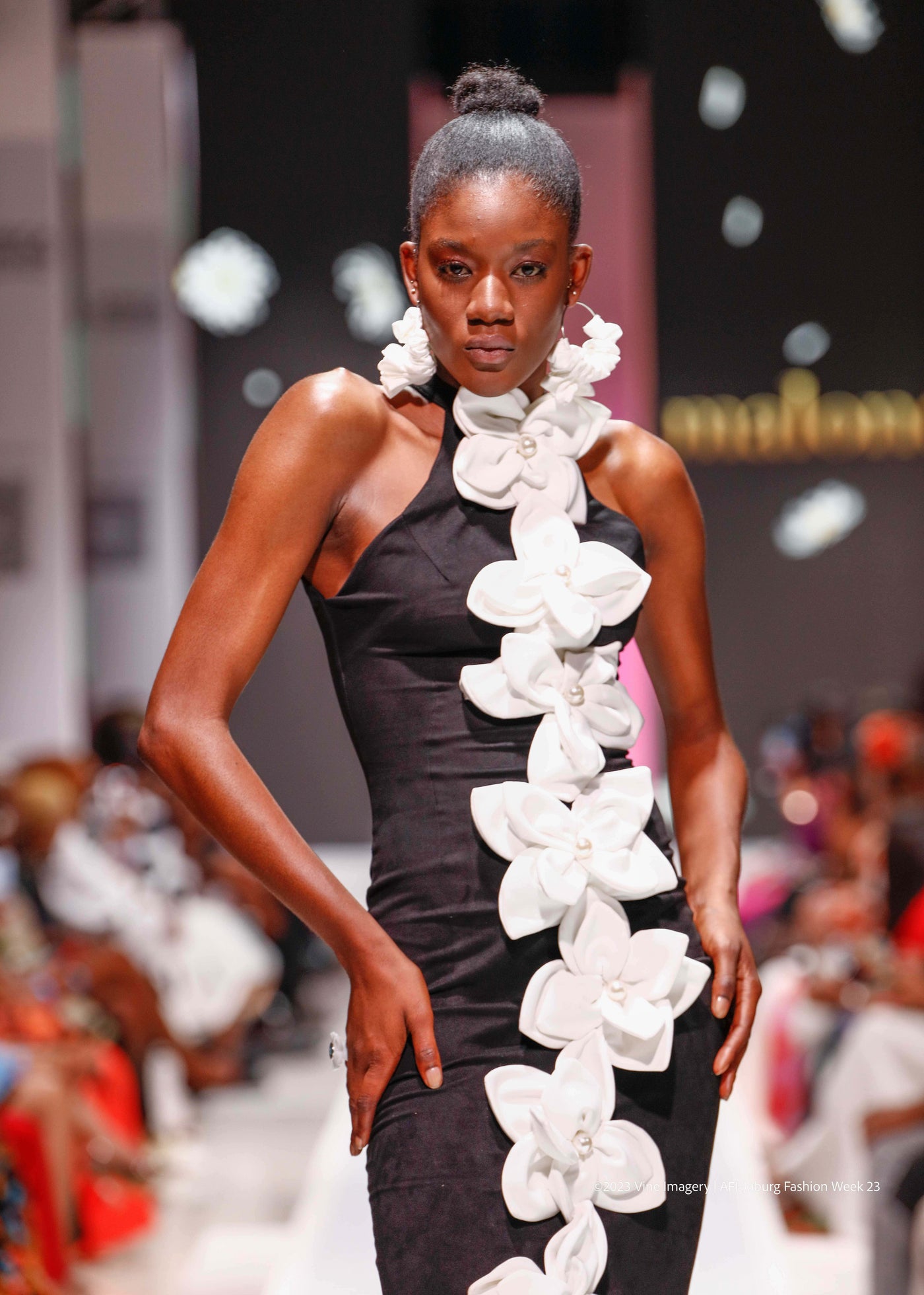 LaRose Monochrome dress