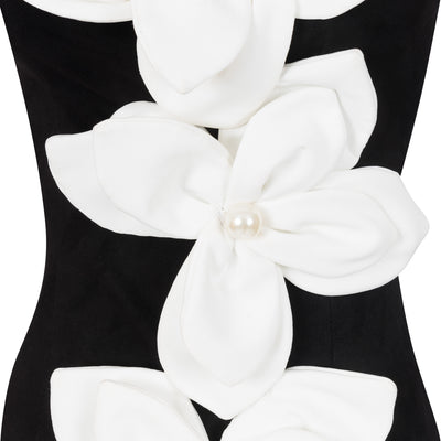 LaRose Monochrome dress