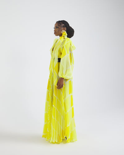 Malondie Pleated Organdie Maxi Dress