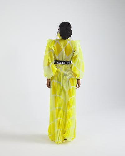 Malondie Pleated Organdie Maxi Dress