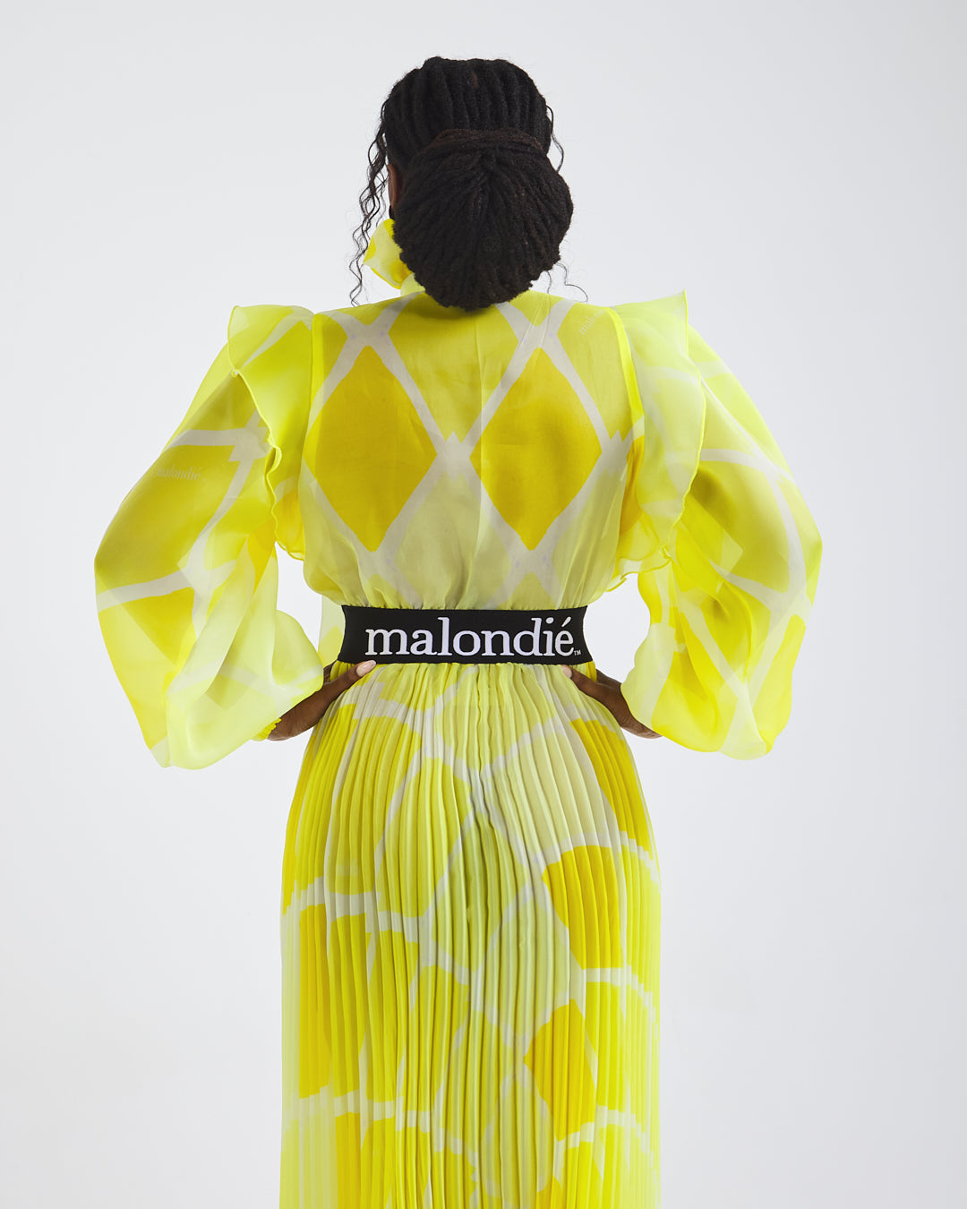 Malondie Pleated Organdie Maxi Dress