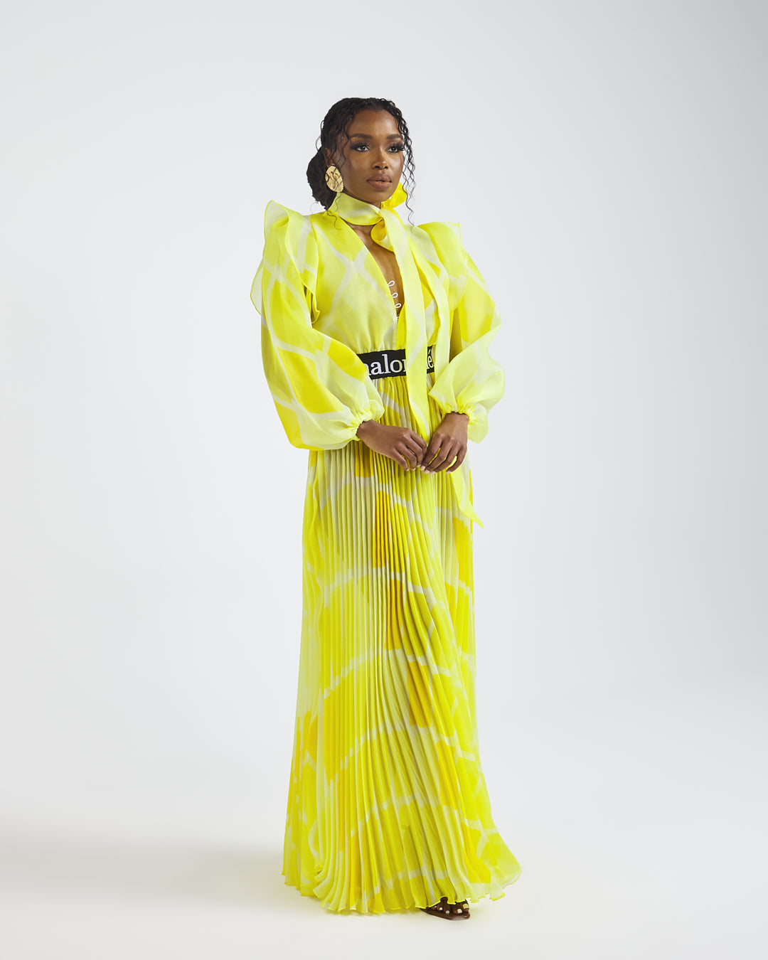 Malondie Pleated Organdie Maxi Dress