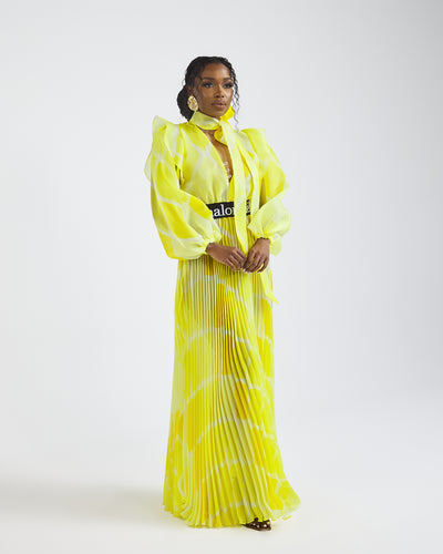 Malondie Pleated Organdie Maxi Dress